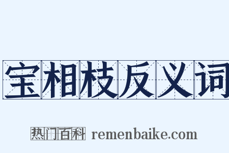 宝相枝反义词是什么意思的图片